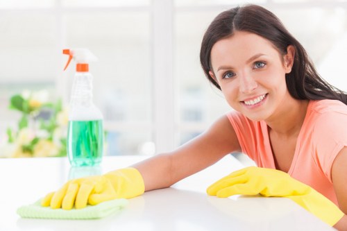 Living room sofa cleaning with upholstery care tools