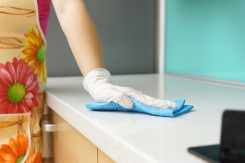 Professional rug cleaning setup for delicate and valuable rugs