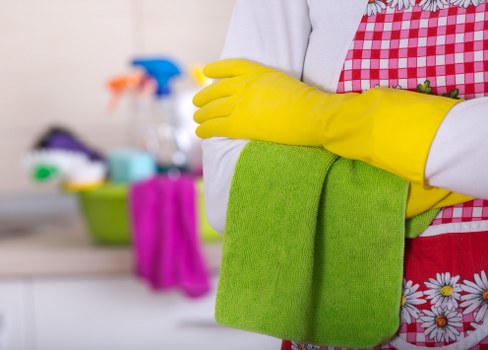 Home carpet cleaning service with deep extraction equipment