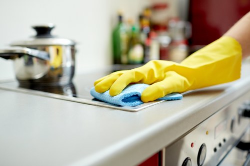 Professional curtain cleaning process for delicate drapes