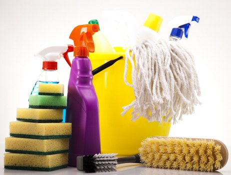 Deep cleaning pet stains from carpet fibres