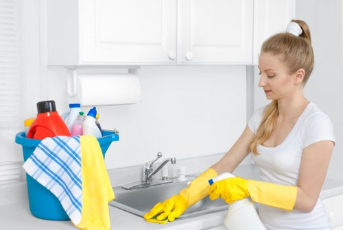 Home sofa cleaning routine with vacuum and stain treatment