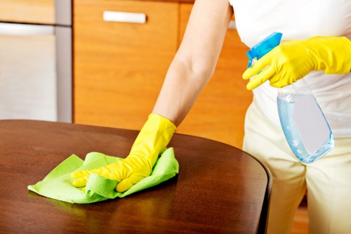 Home rug cleaning process with vacuuming and spot treatment